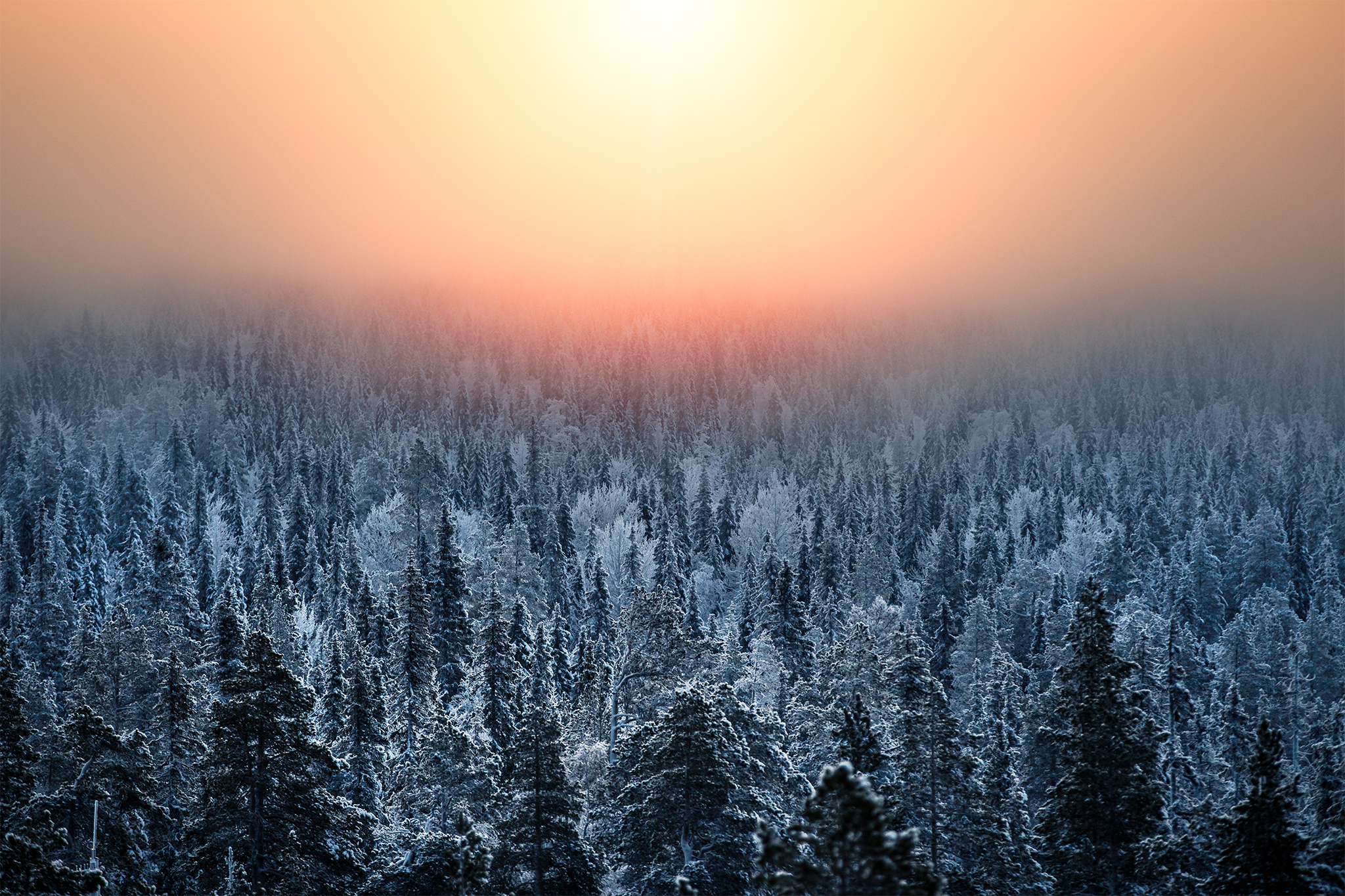 winter